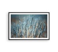 Affiche Poster 91x61cm Tableaux Image Photo Lavande Lame Fleur Wall Art