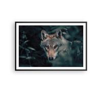 Affiche Poster 91x61cm Tableaux Image Photo Loup Forêt Prédateur Wall Art