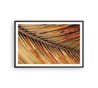 Affiche Poster 91x61cm Tableaux Image Photo Orange Feuille Tropical Wall Art