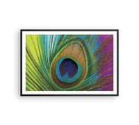 Affiche Poster 91x61cm Tableaux Image Photo Paons Plume Arc En Ciel Wall Art