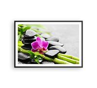 Affiche Poster 91x61cm Tableaux Image Photo Plante pierres bambous spa Wall Art