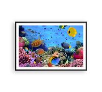 Affiche Poster 91x61cm Tableaux Image Photo Récif de corail Wall Art Decoration