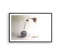 Affiche Poster 91x61cm Tableaux Image Photo Symbole Rose Souffrance Wall Art