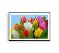 Affiche Poster 91x61cm Tableaux Image Photo Tulipes Bouquet fleurs rosée Art