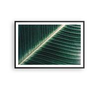 Affiche Poster 91x61cm Tableaux Image Photo Vert Feuille Tropical Wall Art