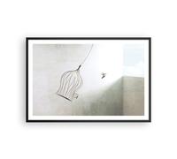 Affiche Poster 91x61cm Tableaux Image Photo Vol Oiseau Cage Wall Art Decoration
