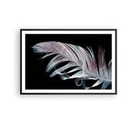 Affiche Poster 91x61cm Tableaux Image Plume Les Couleurs La Délicatesse Art