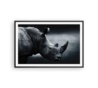 Affiche Poster 91x61cm Tableaux Image Rhinocéros Noir Et Blanc Portrait Art