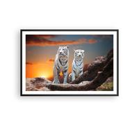 Affiche Poster 91x61cm Tableaux Image Tigres blanc roche coucher de soleil Art