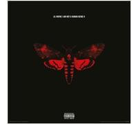 Affiche Poster Lil Wayne - I am not a Human Being - 30x30cm