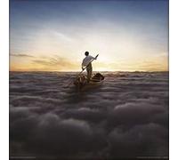 Affiche Poster Pink Floyd The Endless River 12" Print Cover 31x31cm