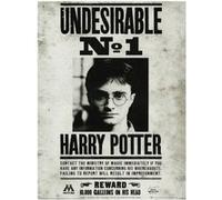 Affiche - Pyramid - Harry Potter - Undesirable N°1 - Art Print - 30x40cm G