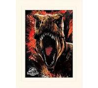 Affiche - Pyramid - Jurassic World Fallen Kingdom (T-Rex Sketch) - Avec Passe-Partout - 30x40cm