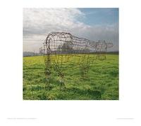Affiche - Pyramid - Pink Floyd - Wireframe Cow - Art Print - 40x40cm G