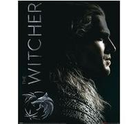 Affiche - Pyramid - The Witcher - Shadows Embrace - 40x50cm G