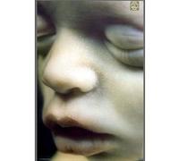 Affiche - Rammstein - Mutter - 61x91,5cm G