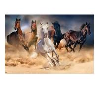 Grupo Erik - Poster Chevaux - Deco Maison, Decoration Murale, Affiche Décorative