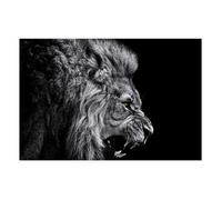 Affiche Rugissement du lion - 60x40cm - made in France