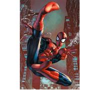 Affiche Spider-Man Web Sling