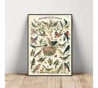 Affiche sur toile illustrant des oiseaux et représentant l'histoire naturelle, style vintage (30 x 45 cm, sans cadre). Décoration murale animalière pour la maison, le bureau ou la salle d'étude.