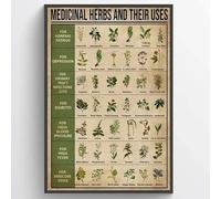 Affiche vintage amusante en métal avec inscription « Medicinal Herbs and their uses Plants Knowledge » - 30,5 x 20,3 cm