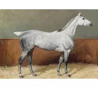 Affiche Vintage De Cheval, Peinture Sur Toile, Animaux De La Ferme, Impressions Équestres, Photos De Ferme Pour Salon, Décoration D'Intérieur, Format A9 60X80Cm Sans Cadre