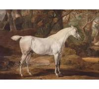 Affiche Vintage De Cheval, Peinture Sur Toile, Animaux De La Ferme, Impressions Équestres, Photos De Ferme Pour Salon, Décoration D'Intérieur, Format A6 60X80Cm Sans Cadre