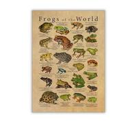 Affiche Vintage De Grenouilles Venimeuses, Espèces De Grenouilles Du Monde, Impression Artistique, Illustration Scientifique, Peinture Sur Toile, Décoration Murale Pour Chambre D'Enfant, Format A4 60X