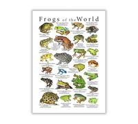 Affiche Vintage De Grenouilles Venimeuses, Espèces De Grenouilles Du Monde, Impression Artistique, Illustration Scientifique, Peinture Sur Toile, Décoration Murale Pour Chambre D'Enfant, Format A1 21X