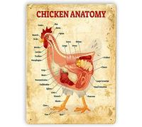 Affiche vintage en métal représentant l'anatomie du poulet, encyclopédie des animaux, décoration de ferme, plaque murale pour la maison, la cuisine, cadeau intéressant, plaque en fer blanc, 20 x 30 c