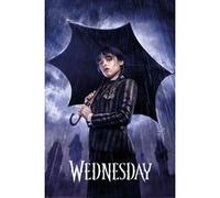 Pyramid International Mercredi - Downpour - Poster 61 x 91 cm