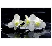 Affiche Zen orchidées et Galets - 60x40cm - Made in France - Made in France - 60x40