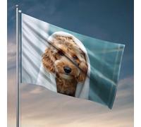 Affiches amusantes pour dortoir universitaire - Adorable chien séchant avec une serviette - Drapeau de maison d'hiver - Décoration de porte (60 x 90 cm)
