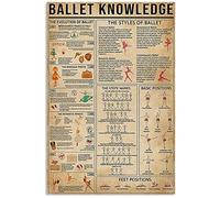Affiches de connaissances de ballet, évolution, histoire, panneaux métalliques, guide des amateurs de danse, décoration de chambre, décoration murale, club, plaque d'impression vintage 20 x 30 cm