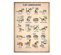 Affiches de connaissances sur les chats, panneaux métalliques en langage félin, décoration de chambre, éducation scientifique populaire, club de ferme, décoration murale, plaque rétro 30,5 x 40,6 c