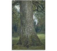 Affiches Et Impressions Classiques Étude Du Tronc D'Un Orme John Constable Peintre Peinture Sur Toile Image D'Art Pour La Décoration Esthétique De La Pièce 50x70 Cm Sans Cadre