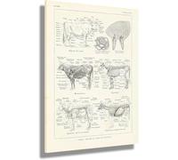 Affiches Et Impressions D'Anatomie Des Découpes De Bœuf, Tableaux Sur Toile, Tableaux De Boucher, Peintures Sur Aliments, Décoration Moderne Avec Animaux, 40 X 60 Cm, Sans Cadre