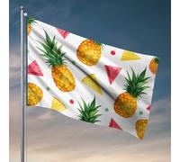 Affiches pour dortoir universitaire Fruits d'été : ananas et tranches de pastèque Drapeau Gym Drapeau Man Cabe Decor (60 x 90 cm)