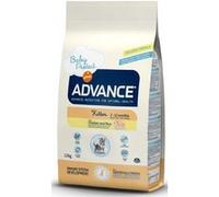 Affinity Advance Chat Kitten - Poulet & Riz - 10 kg G