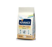 Affinity Chat Kitten - Poulet & Riz - 10 kg