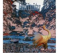 Affinity - If You Live