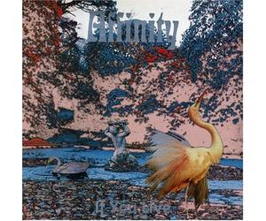 Affinity - If You Live