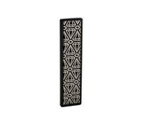 Affûteur de carres ski Swix Racing Diamond Stone, X-Coarse Noir 100 mm
