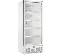 Afi Collin Lucy Armoire Réfrigérée Positive Skinplate avec Porte Vitrée - 540 L