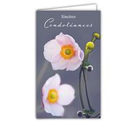 AFIE 24-1034 Carte Sincères Condoléances Format 16x9,5cm avec Enveloppe Blanche Décès et Deuil - Cérémonie Funéraire - Fleurs Roses - Fabriquée en France