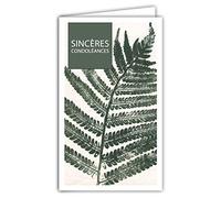 AFIE 24-1035 Carte Sincères Condoléances Format 16x9,5cm avec Enveloppe Blanche Décès et Deuil - Cérémonie Funéraire - Feuille Fougère Vert Kaki - Fabriquée en France