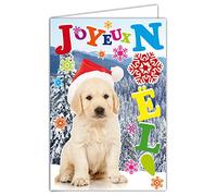 Afie 61-4051-B JN Carte Joyeux Noël