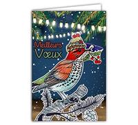 Afie 61-6002 Carte avec Enveloppe et Collage EN RELIEF bonnet en or doré brillant Souhaiter une Bonne Année Présenter ses Meilleurs Vœux Oiseau sous la neige Baies Houx Sapin Guirlande Lumineuse