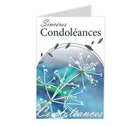 AFIE 64-1030-B Carte Sincères Condoléances - Bon courage Hiver Froid Plante Morte