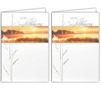 AFIE 64-1057 Carte Sincères Condoléances Gris Argenté Brillant Décès Deuil Paysage Paisible Soleil Couchant Eau Lac Herbe Graminée Fabriqué en France, 64-1057 (Lot de 2)